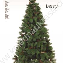 Елха Berry