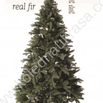 Елха Real fir